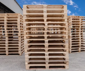 Wooden Pallet Manufacturers in Chennai